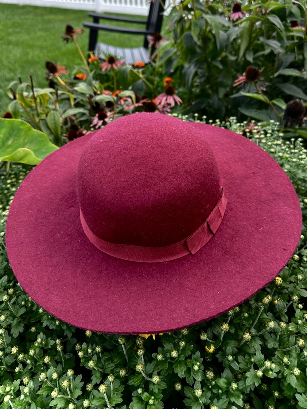 Charming Charlie Wide-Brim Felt Hat in Burgundy